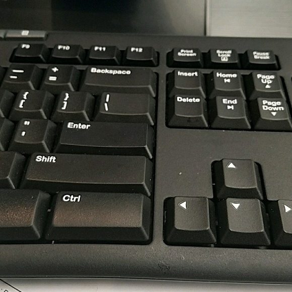 Meet your Posher, Rose - Picture 1 of 1